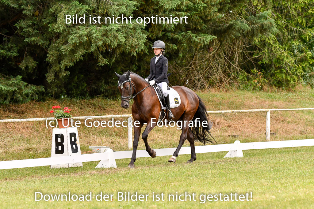 Goldene Schärpe Ponys in Hohenberg Krusemark 2024 | 12072024 Dressur _1068