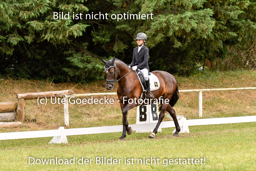 Goldene Schärpe Ponys in Hohenberg Krusemark 2024 | 12072024 Dressur _1069