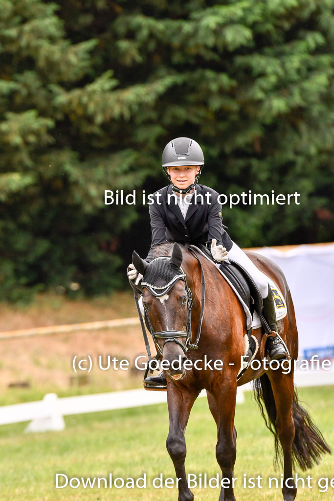 Goldene Schärpe Ponys in Hohenberg Krusemark 2024 | 12072024 Dressur _1071