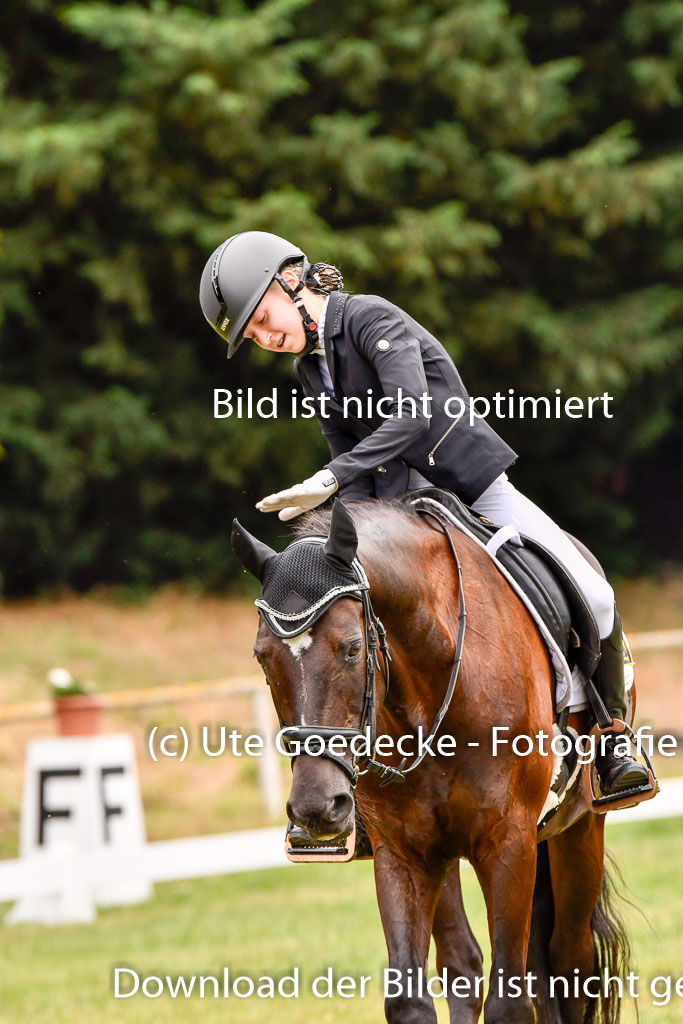 Goldene Schärpe Ponys in Hohenberg Krusemark 2024 | 12072024 Dressur _1072 