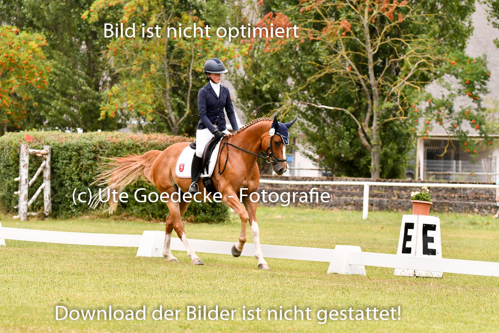 Goldene Schärpe Ponys in Hohenberg Krusemark 2024 | 12072024 Dressur _1073