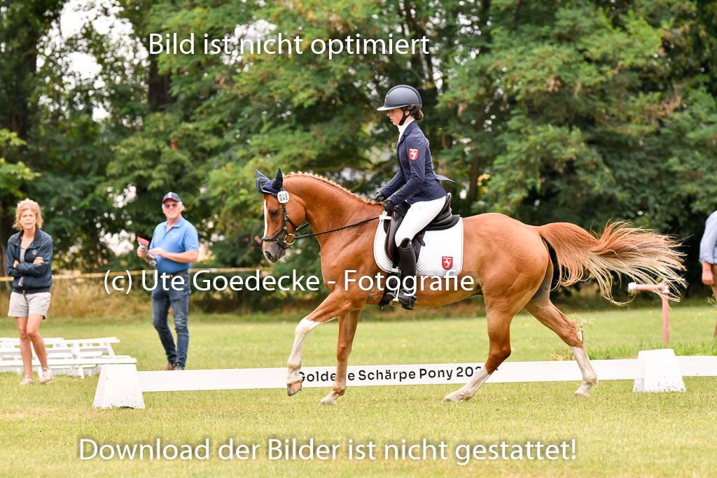 Goldene Schärpe Ponys in Hohenberg Krusemark 2024 | 12072024 Dressur _1075 