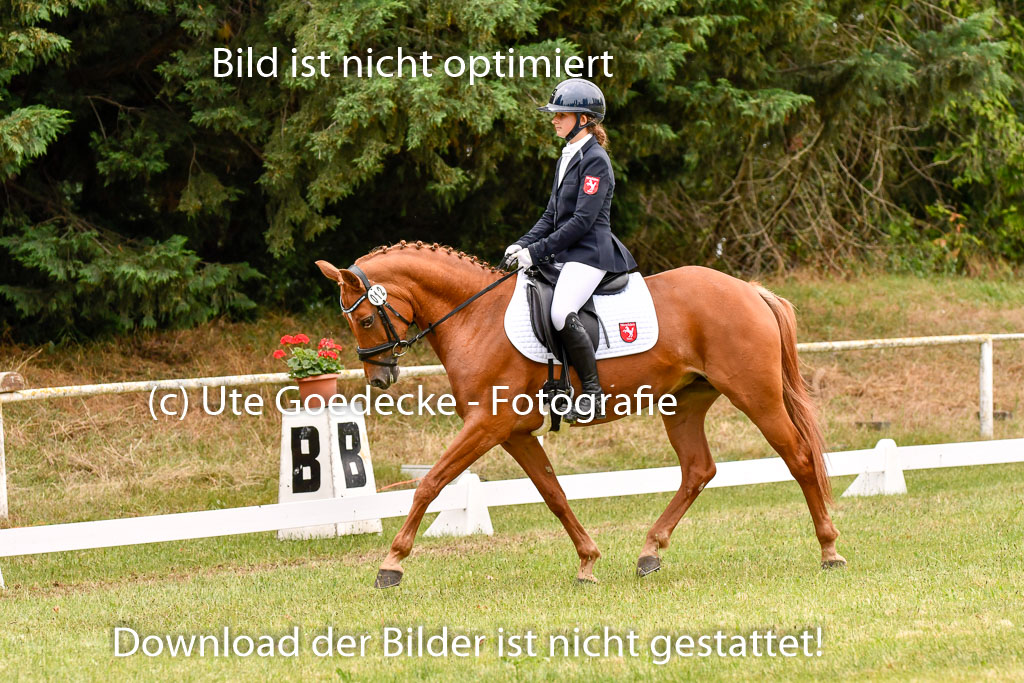 Goldene Schärpe Ponys in Hohenberg Krusemark 2024 | 12072024 Dressur _1079