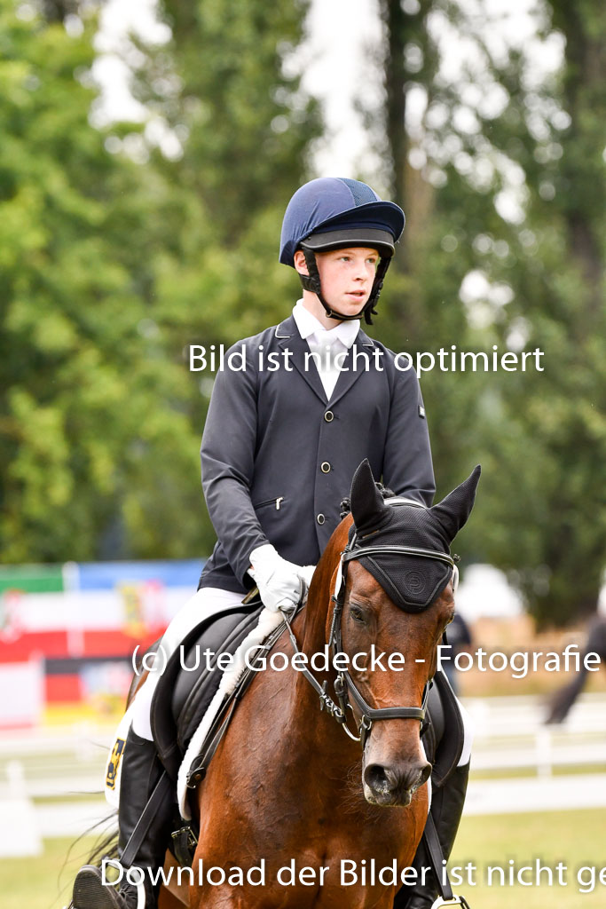 Goldene Schärpe Ponys in Hohenberg Krusemark 2024 | 12072024 Dressur _1081