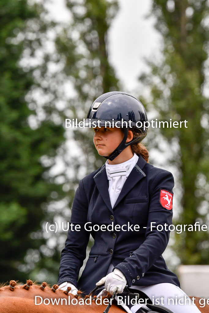 Goldene Schärpe Ponys in Hohenberg Krusemark 2024 | 12072024 Dressur _1082