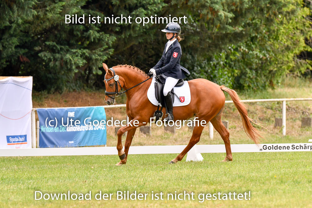 Goldene Schärpe Ponys in Hohenberg Krusemark 2024 | 12072024 Dressur _1086
