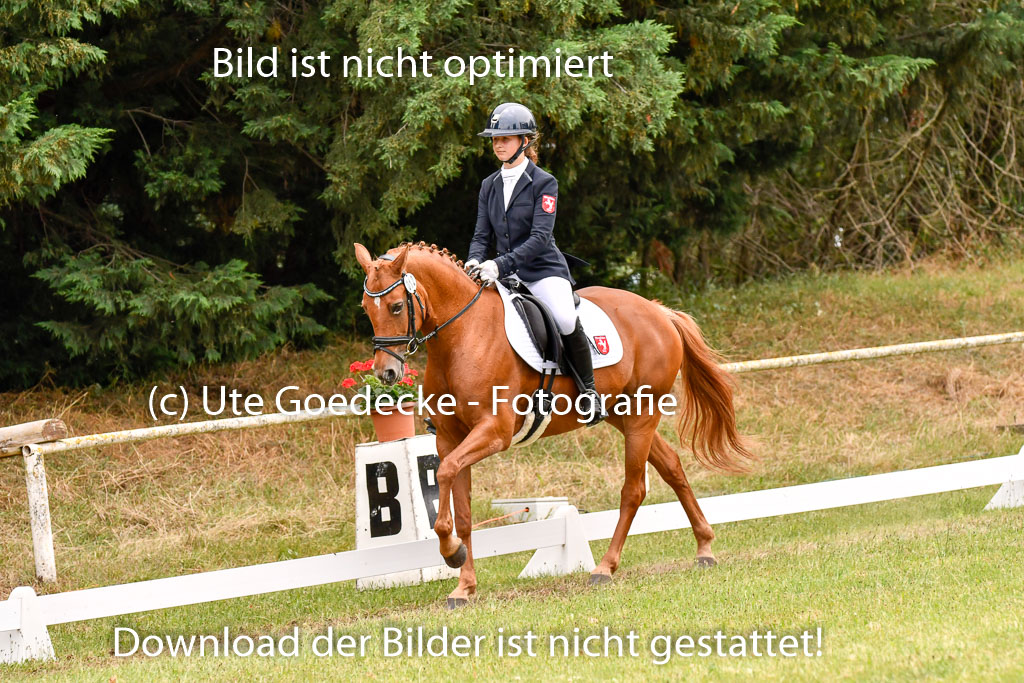 Goldene Schärpe Ponys in Hohenberg Krusemark 2024 | 12072024 Dressur _1087