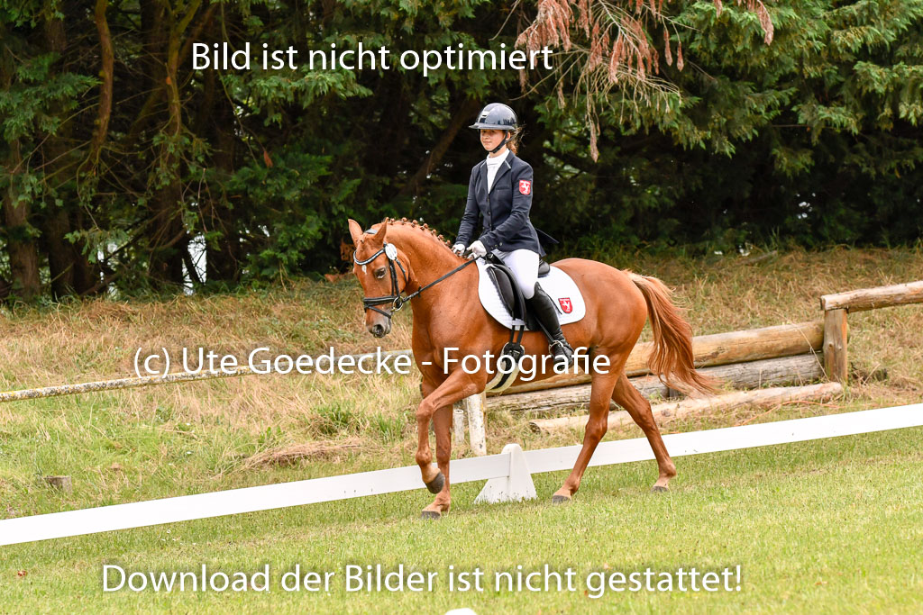 Goldene Schärpe Ponys in Hohenberg Krusemark 2024 | 12072024 Dressur _1090