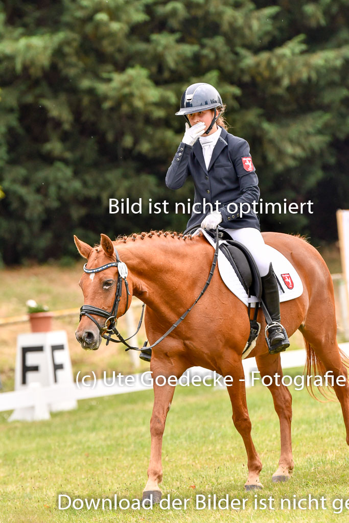 Goldene Schärpe Ponys in Hohenberg Krusemark 2024 | 12072024 Dressur _1091