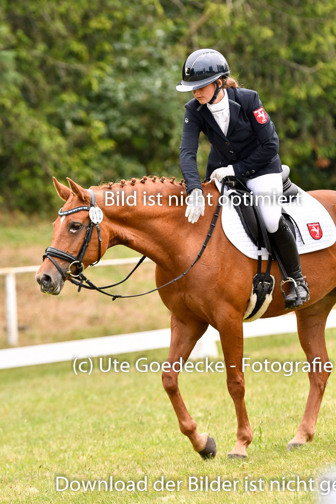Goldene Schärpe Ponys in Hohenberg Krusemark 2024 | 12072024 Dressur _1092