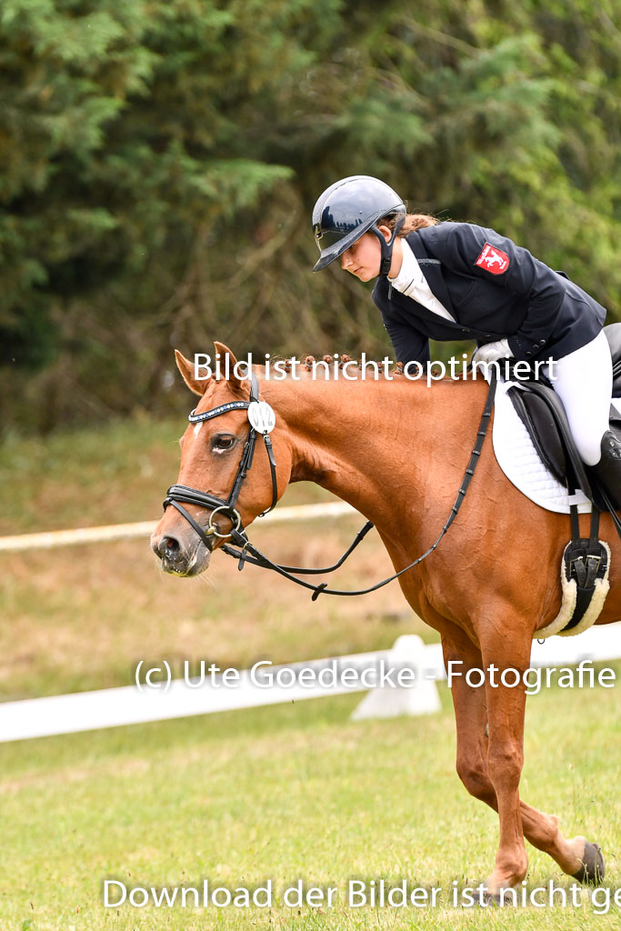 Goldene Schärpe Ponys in Hohenberg Krusemark 2024 | 12072024 Dressur _1093 