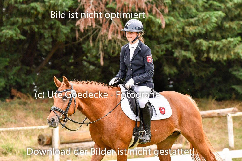Goldene Schärpe Ponys in Hohenberg Krusemark 2024 | 12072024 Dressur _1094
