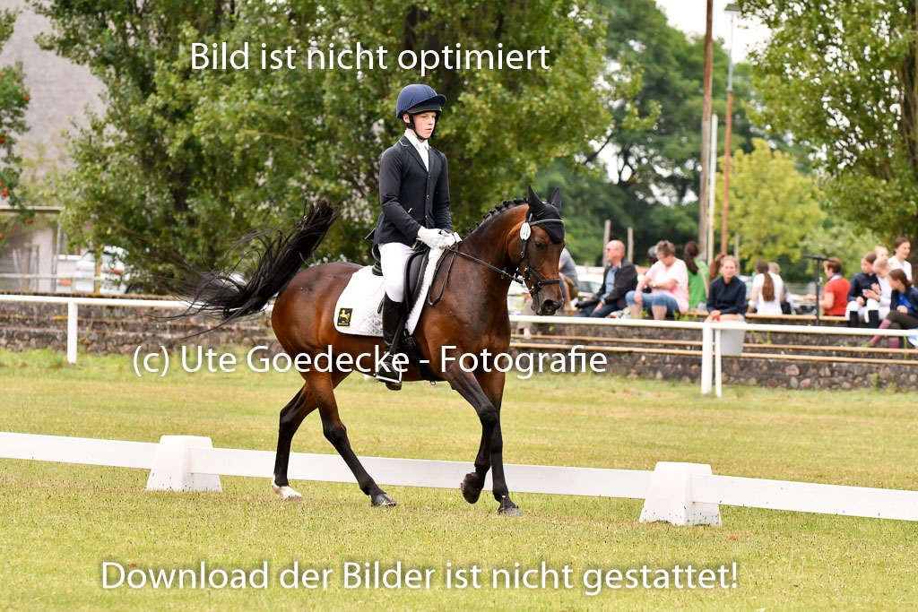 Goldene Schärpe Ponys in Hohenberg Krusemark 2024 | 12072024 Dressur _1095 