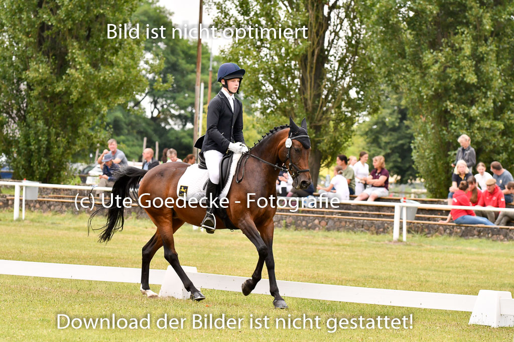 Goldene Schärpe Ponys in Hohenberg Krusemark 2024 | 12072024 Dressur _1096