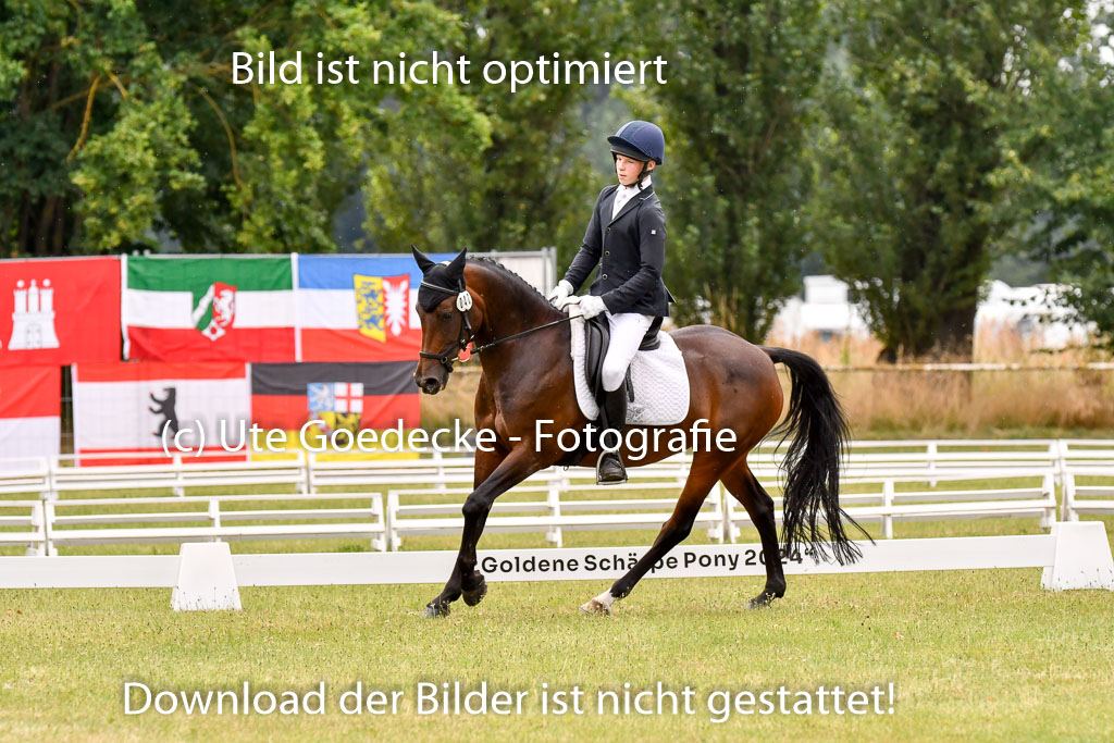 Goldene Schärpe Ponys in Hohenberg Krusemark 2024 | 12072024 Dressur _1098 