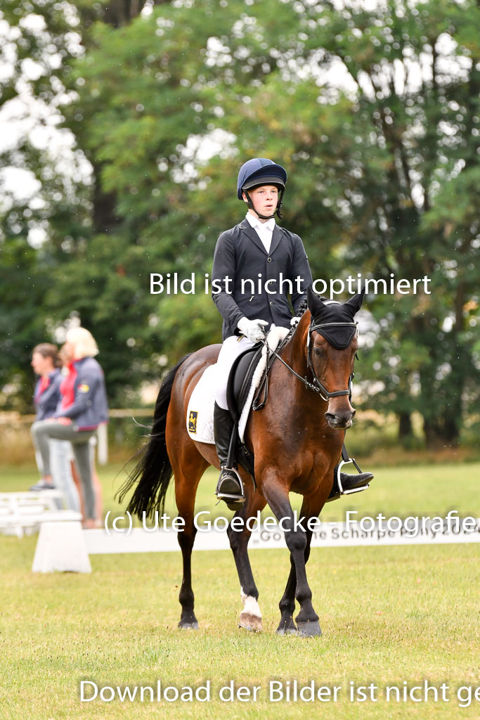 Goldene Schärpe Ponys in Hohenberg Krusemark 2024 | 12072024 Dressur _1103 