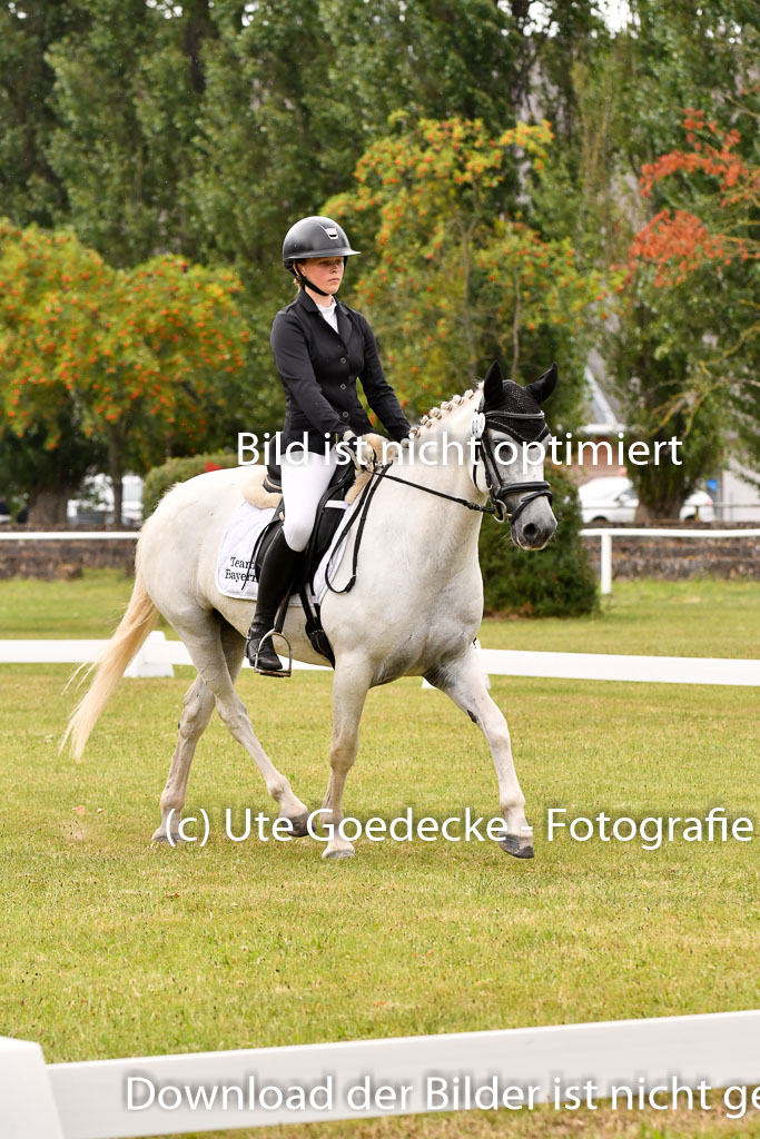 Goldene Schärpe Ponys in Hohenberg Krusemark 2024 | 12072024 Dressur _1106