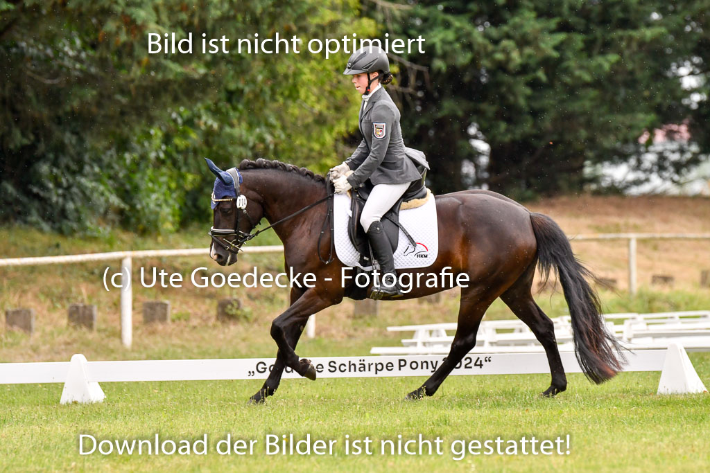 Goldene Schärpe Ponys in Hohenberg Krusemark 2024 | 12072024 Dressur _1109 