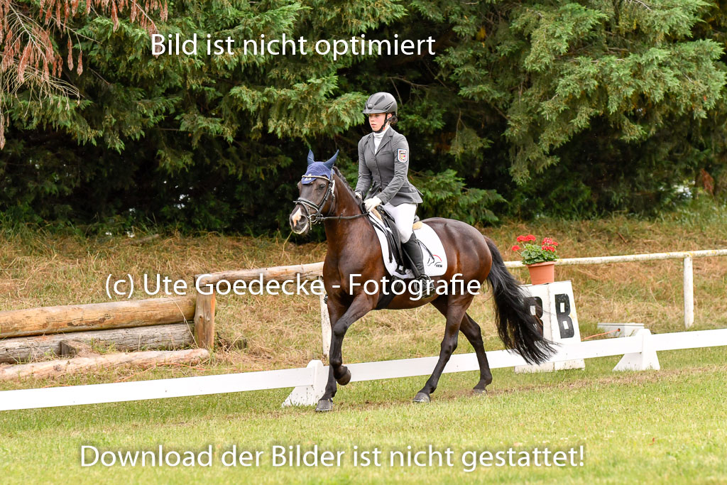 Goldene Schärpe Ponys in Hohenberg Krusemark 2024 | 12072024 Dressur _1111