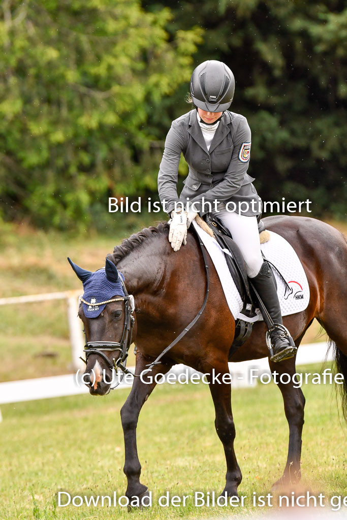 Goldene Schärpe Ponys in Hohenberg Krusemark 2024 | 12072024 Dressur _1114 