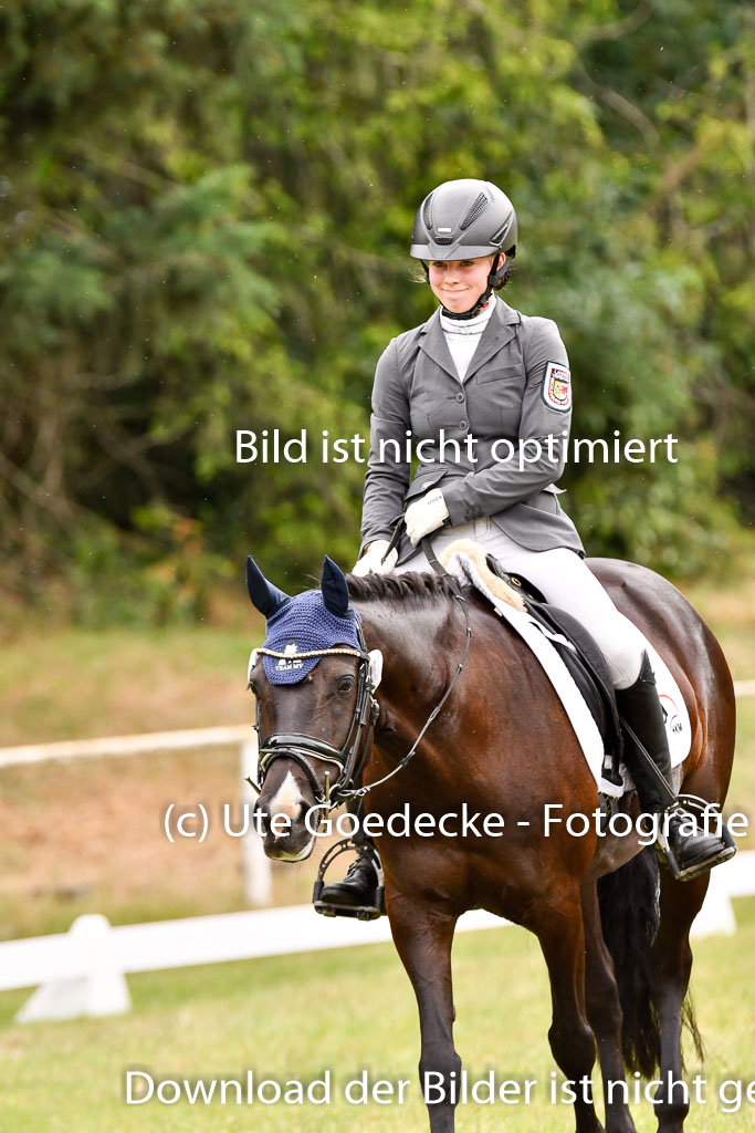 Goldene Schärpe Ponys in Hohenberg Krusemark 2024 | 12072024 Dressur _1115 