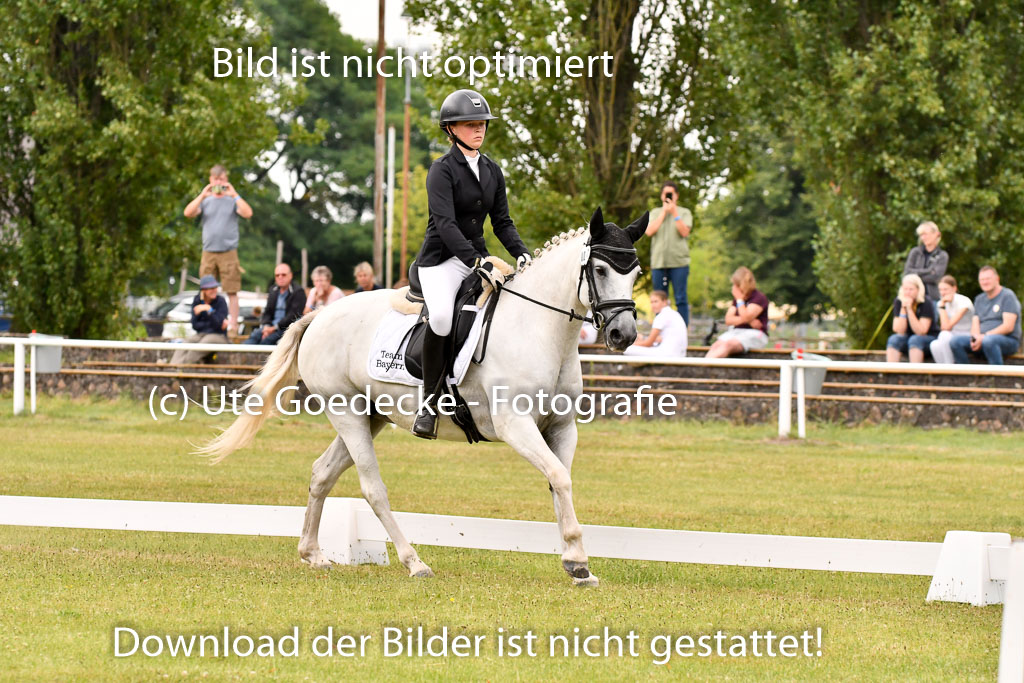 Goldene Schärpe Ponys in Hohenberg Krusemark 2024 | 12072024 Dressur _1118