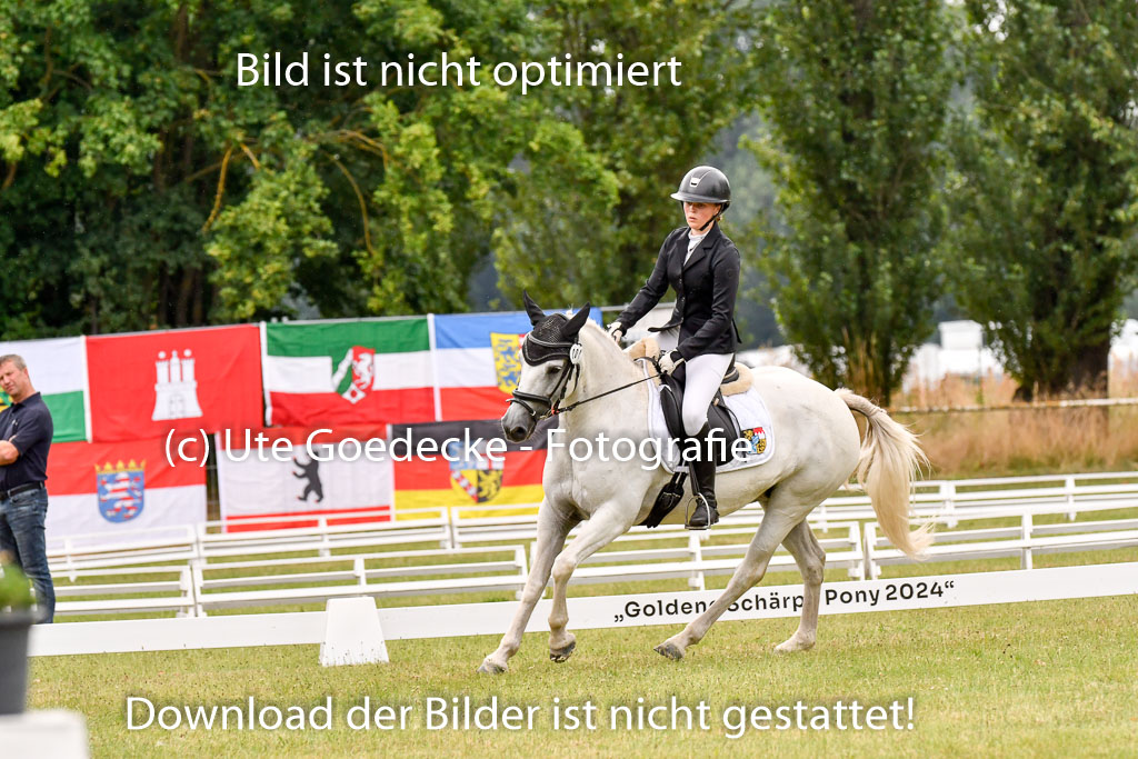 Goldene Schärpe Ponys in Hohenberg Krusemark 2024 | 12072024 Dressur _1119