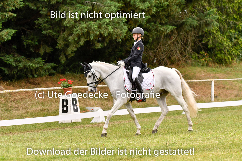 Goldene Schärpe Ponys in Hohenberg Krusemark 2024 | 12072024 Dressur _1122