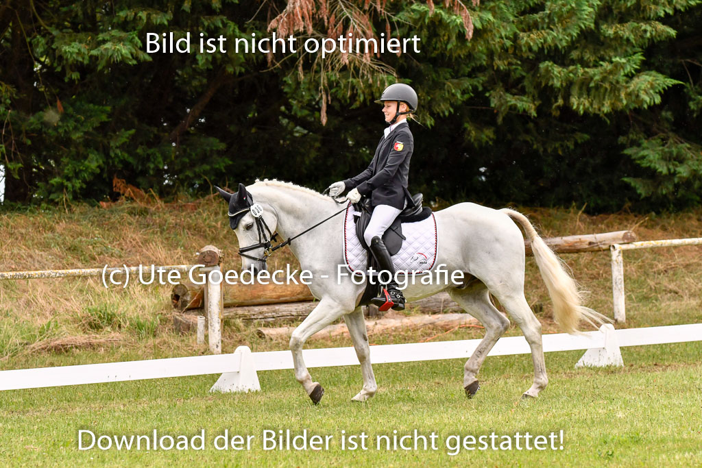 Goldene Schärpe Ponys in Hohenberg Krusemark 2024 | 12072024 Dressur _1123