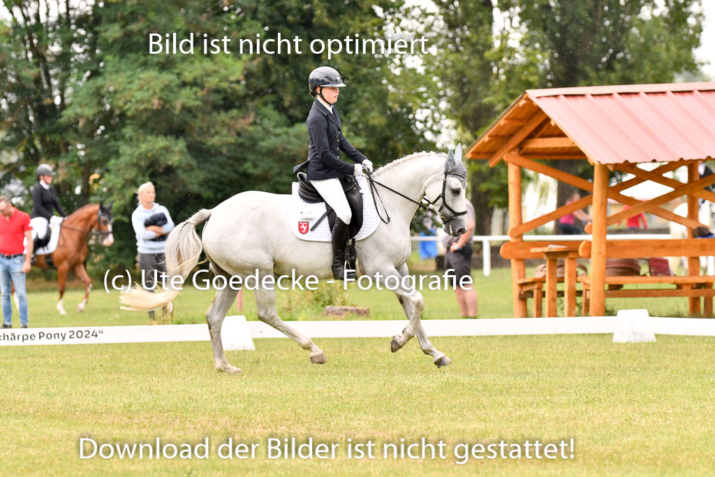 Goldene Schärpe Ponys in Hohenberg Krusemark 2024 | 12072024 Dressur _1131