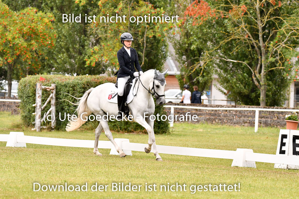 Goldene Schärpe Ponys in Hohenberg Krusemark 2024 | 12072024 Dressur _1132