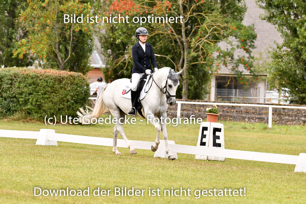 Goldene Schärpe Ponys in Hohenberg Krusemark 2024 | 12072024 Dressur _1133 