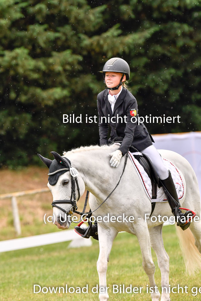 Goldene Schärpe Ponys in Hohenberg Krusemark 2024 | 12072024 Dressur _1135 