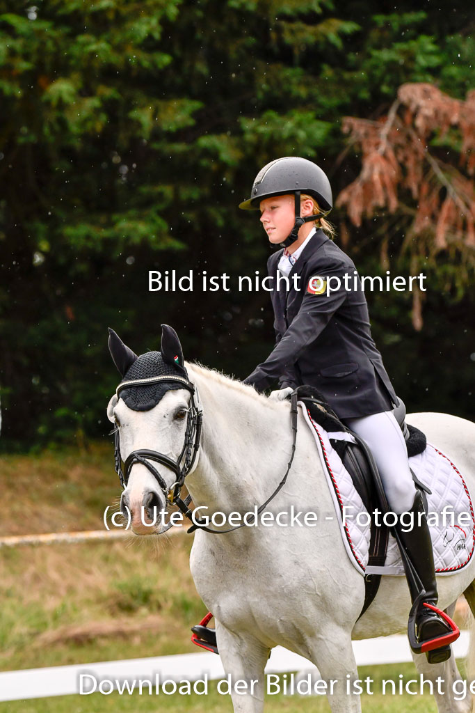 Goldene Schärpe Ponys in Hohenberg Krusemark 2024 | 12072024 Dressur _1136