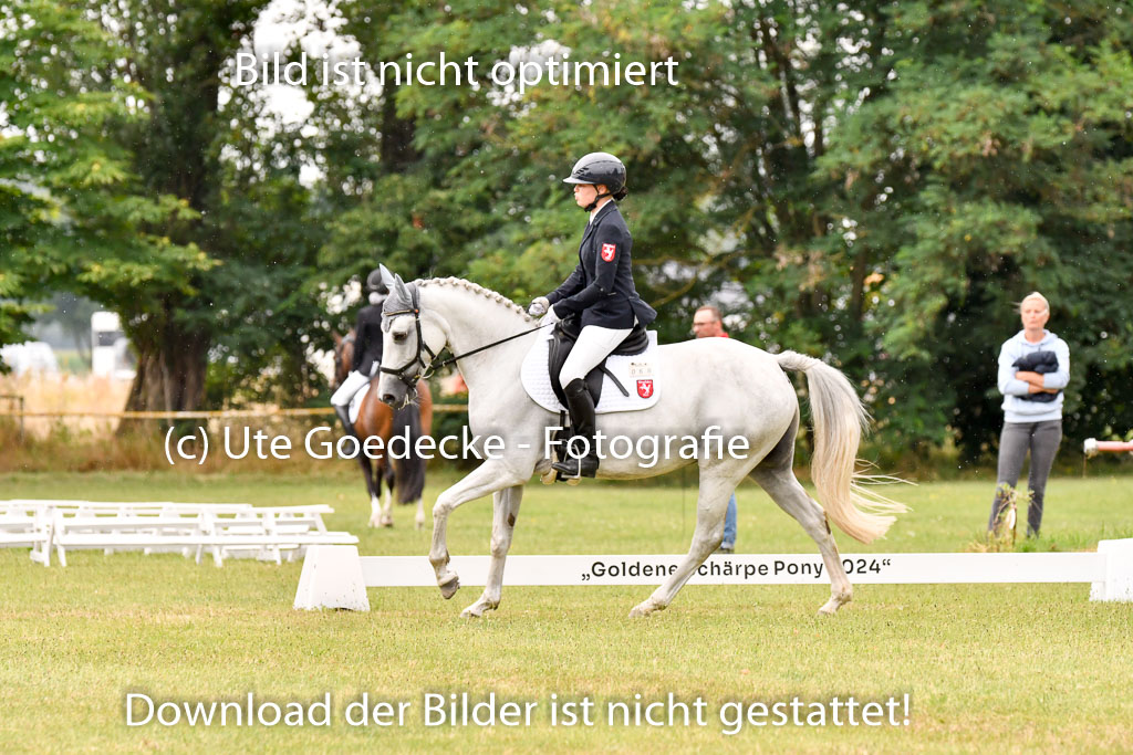 Goldene Schärpe Ponys in Hohenberg Krusemark 2024 | 12072024 Dressur _1138 