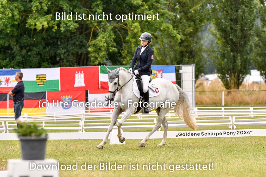 Goldene Schärpe Ponys in Hohenberg Krusemark 2024 | 12072024 Dressur _1139