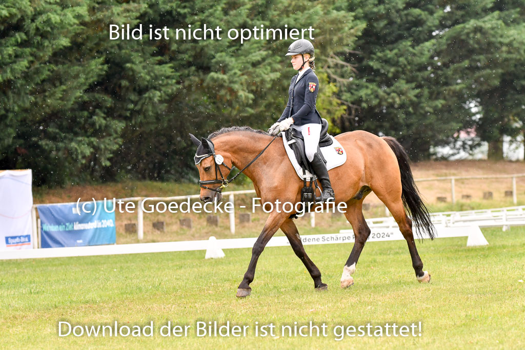 Goldene Schärpe Ponys in Hohenberg Krusemark 2024 | 12072024 Dressur _1142 