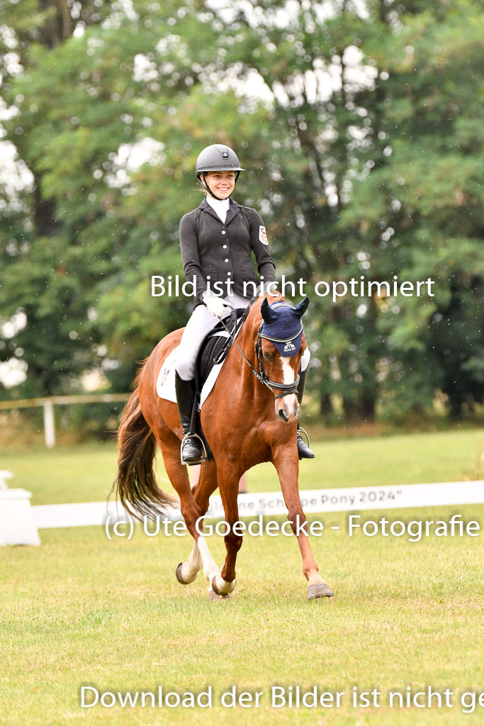 Goldene Schärpe Ponys in Hohenberg Krusemark 2024 | 12072024 Dressur _1143