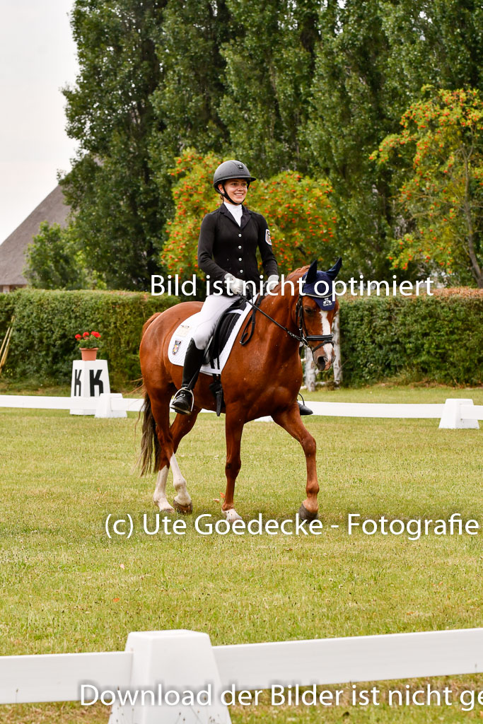 Goldene Schärpe Ponys in Hohenberg Krusemark 2024 | 12072024 Dressur _1145