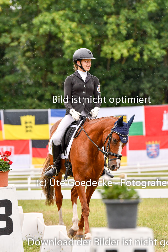 Goldene Schärpe Ponys in Hohenberg Krusemark 2024 | 12072024 Dressur _1147