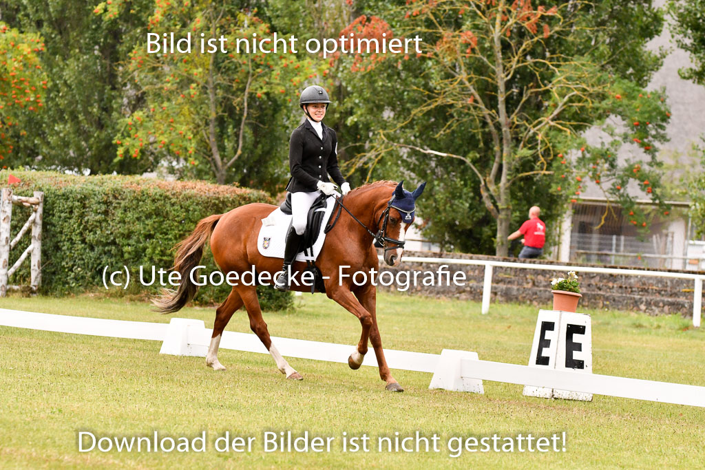Goldene Schärpe Ponys in Hohenberg Krusemark 2024 | 12072024 Dressur _1152