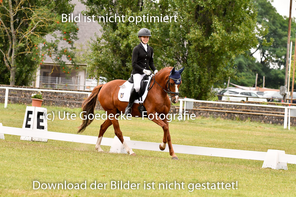 Goldene Schärpe Ponys in Hohenberg Krusemark 2024 | 12072024 Dressur _1153 