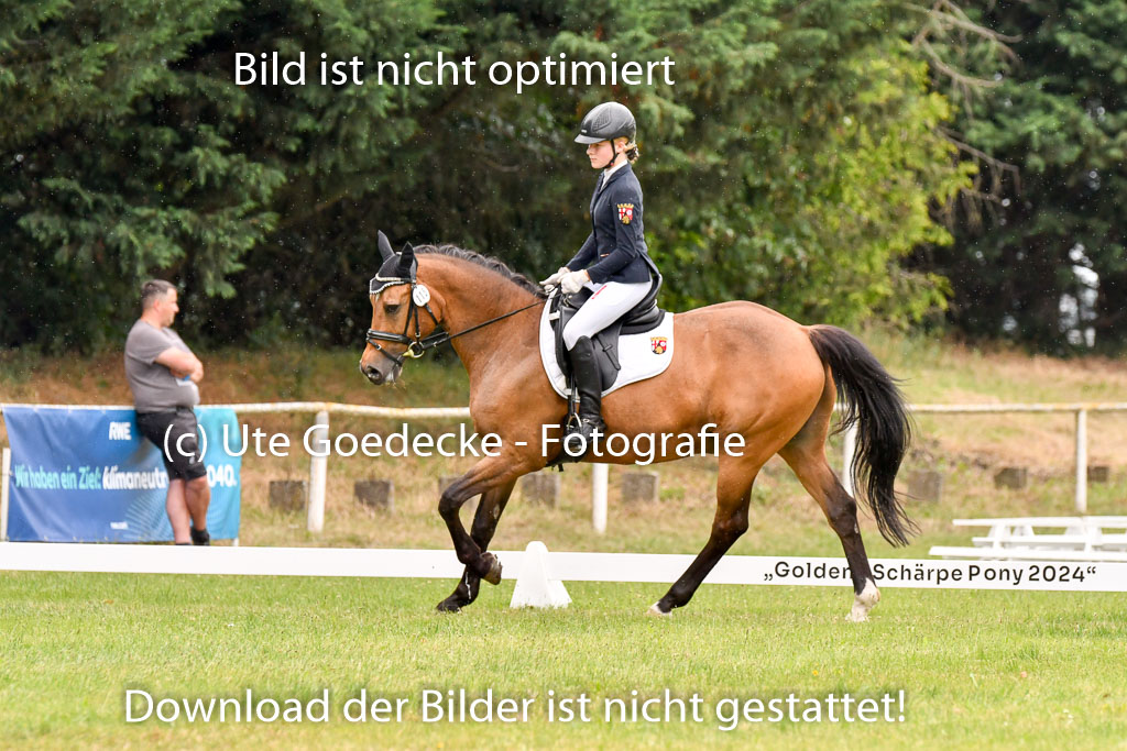 Goldene Schärpe Ponys in Hohenberg Krusemark 2024 | 12072024 Dressur _1155