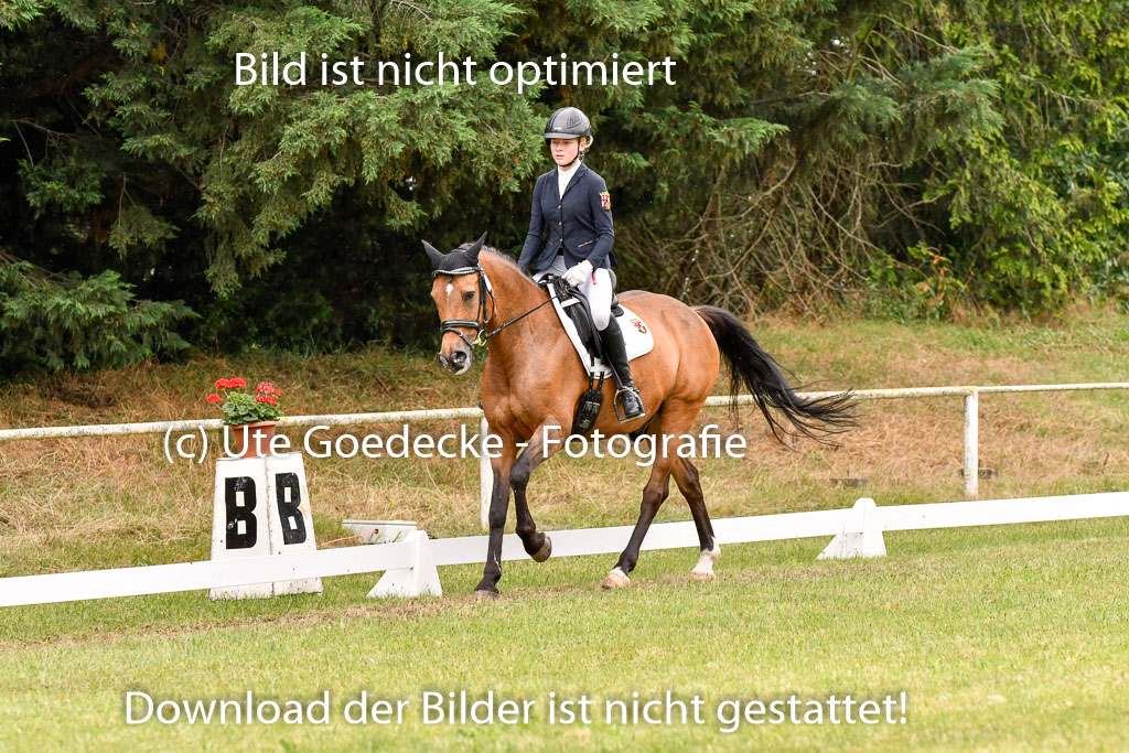 Goldene Schärpe Ponys in Hohenberg Krusemark 2024 | 12072024 Dressur _1156