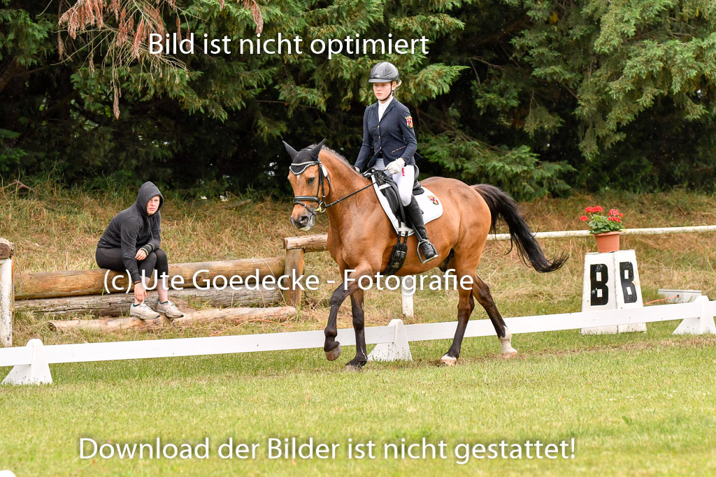 Goldene Schärpe Ponys in Hohenberg Krusemark 2024 | 12072024 Dressur _1157 