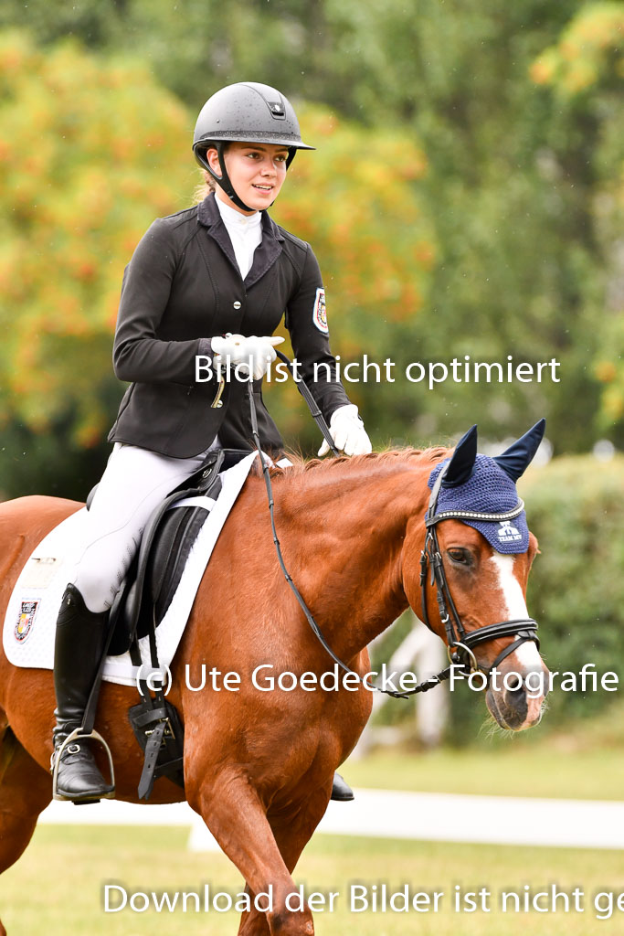 Goldene Schärpe Ponys in Hohenberg Krusemark 2024 | 12072024 Dressur _1163 