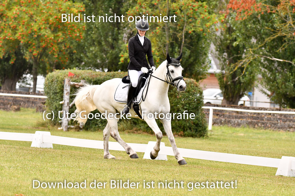 Goldene Schärpe Ponys in Hohenberg Krusemark 2024 | 12072024 Dressur _1167