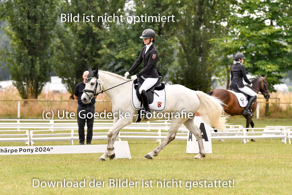 Goldene Schärpe Ponys in Hohenberg Krusemark 2024 | 12072024 Dressur _1168 