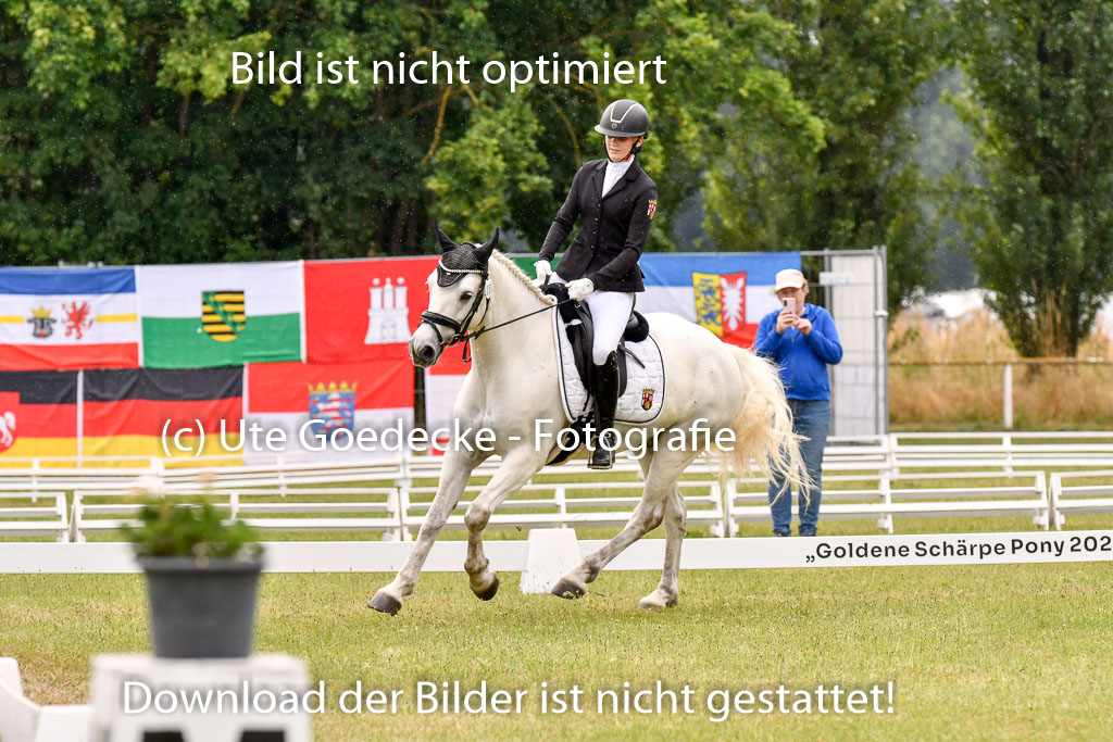 Goldene Schärpe Ponys in Hohenberg Krusemark 2024 | 12072024 Dressur _1170 