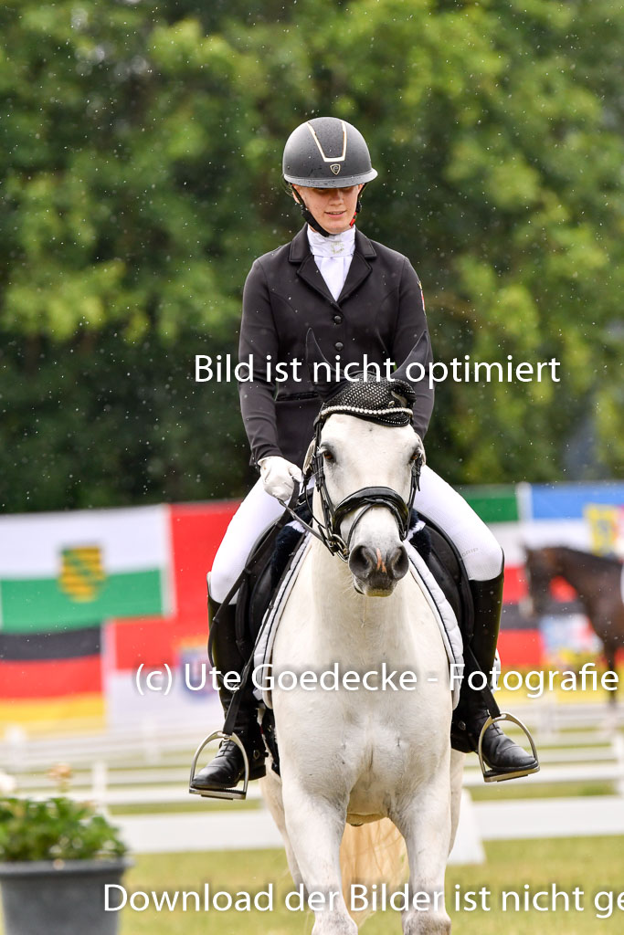 Goldene Schärpe Ponys in Hohenberg Krusemark 2024 | 12072024 Dressur _1173